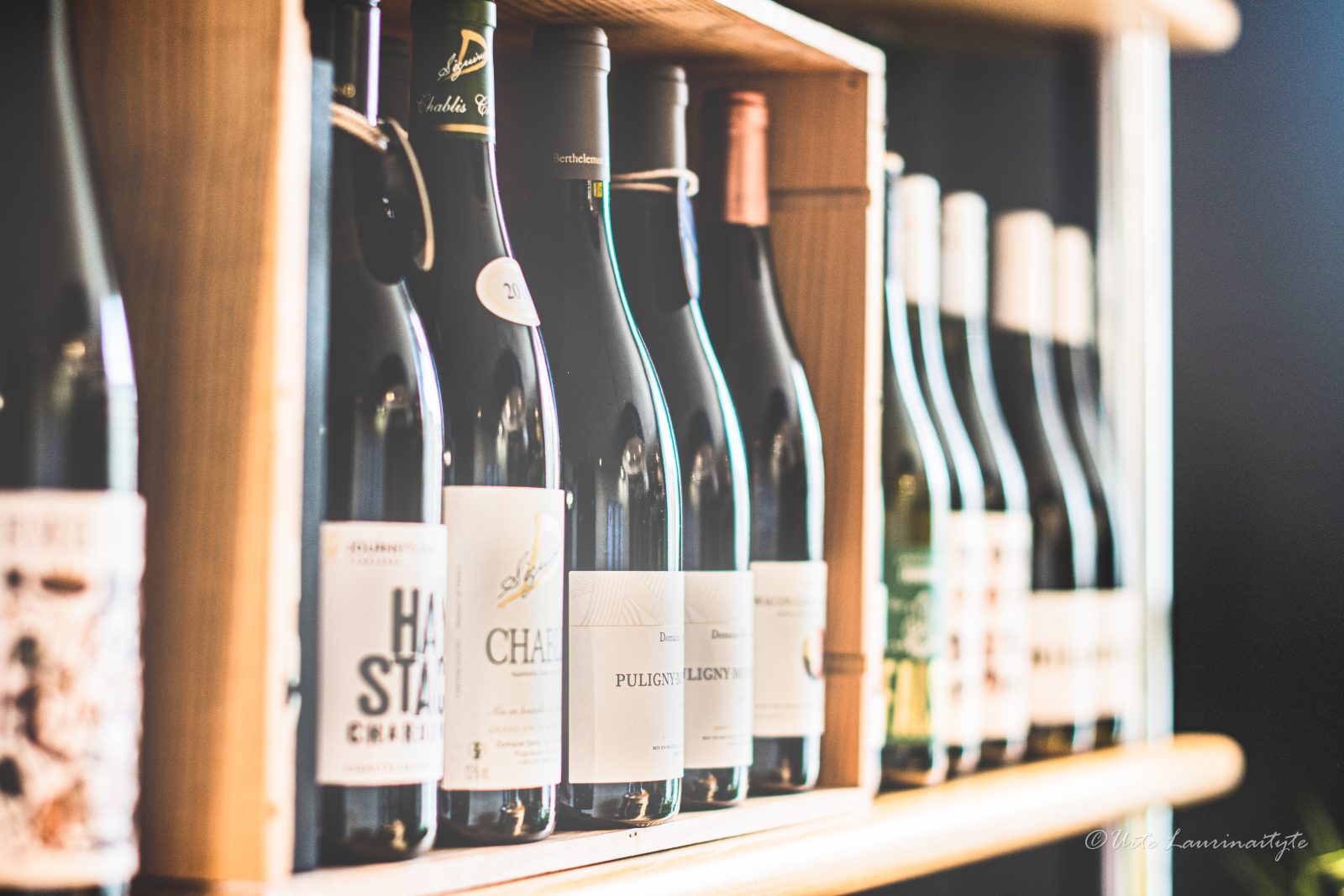 Camber wines Header 2