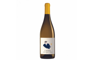 sauvignon blanc l artiste famille bougrier 2023