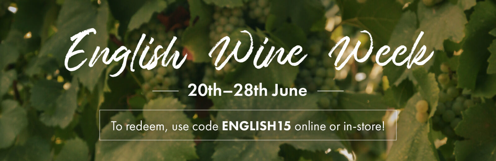 Camber wines Header 2
