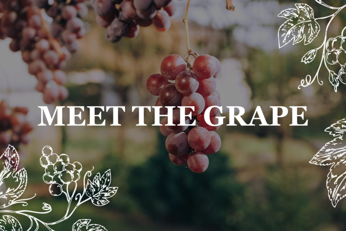 Meet The Grape 🍇 … Sauvignon Blanc